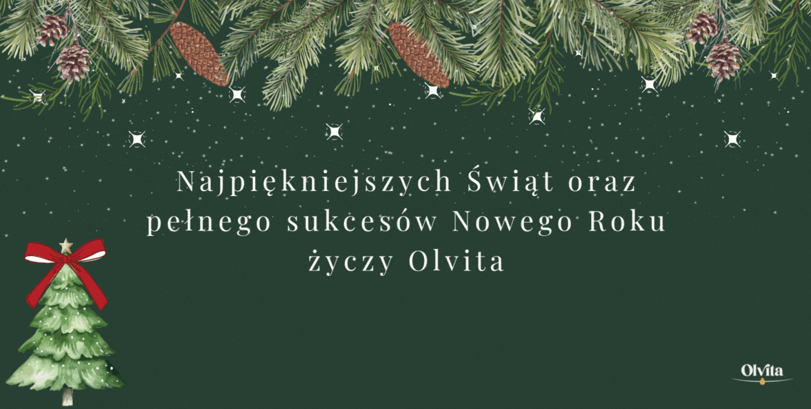 Baner swiateczny 2025.gif